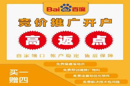 案例解析：SEM竞价策略优化技巧